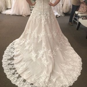 Allure Beauty Wedding Dress